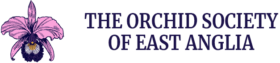 Orchid Society of East Anglia